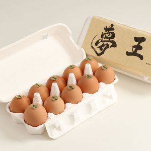 兵庫 藤橋商店夢王  20個入10個入×2パック【KN】