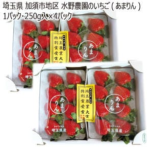 埼玉県加須市地区 水野農園のいちご(あまりん)1パック・250g入×4パック【お届け期間】2026/03/10‐2026/04/30【KN】
