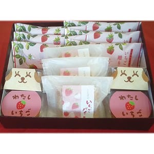 栃木 もめん弥「がんこ職人」 いちご菓子詰合せ13個入【KN】