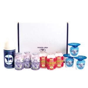 新潟 ヤスダヨーグルトヤスダヨーグルトギフト G2455【KN】