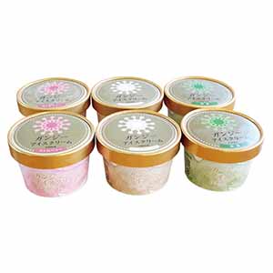 新潟 加勢牧場ガンジーアイスクリーム 6個入【KN】