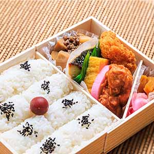 桃中軒 駅弁 御弁当(幕の内) (L8174)【サクワ】