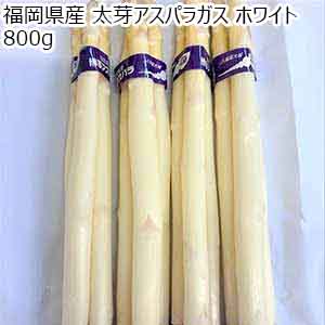 福岡県産 太芽アスパラガス ホワイト 800g 【限定10点】【お届け期間：3月20日〜4月30日】【超！春トク祭り】