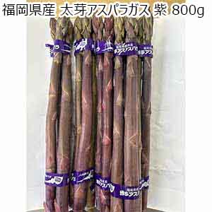 福岡県産 太芽アスパラガス 紫 800g 【限定10点】【お届け期間：3月20日〜4月30日】【超！春トク祭り】