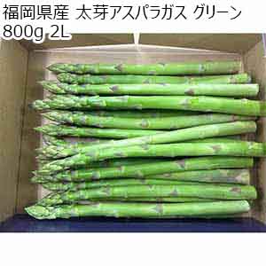 福岡県産 太芽アスパラガス グリーン 800g 2L【お届け期間：3月20日〜4月30日】【超！春トク祭り】
