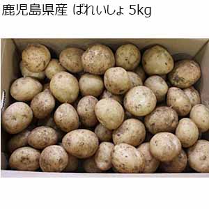 鹿児島県産 ばれいしょ 5kg【限定50点】【お届け期間：3月25日〜4月25日】【超！春トク祭り】