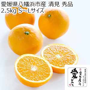 愛媛県八幡浜市産 清見 秀品 2.5kg S〜Lサイズ【限定500点】【お届け期間：3月20日〜4月30日】【超！春トク祭り】