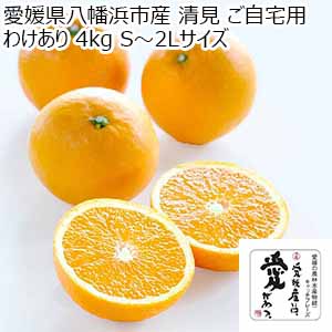 愛媛県八幡浜市産 清見 ご自宅用 わけあり 4kg S〜2Lサイズ【限定500点】【お届け期間：3月20日〜4月30日】【超！春トク祭り】