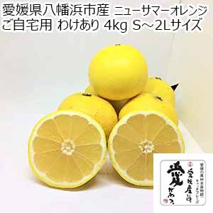 愛媛県八幡浜市産 ニューサマーオレンジ ご自宅用 わけあり 4kg S〜2Lサイズ【限定500点】【お届け期間：4月1日〜4月30日】【超！春トク祭り】