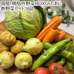 国産 規格外野菜BOX みたあじ 春野菜セット 8品【限定200点】【お届け期間：4月4日〜4月5日】【超！春トク祭り】