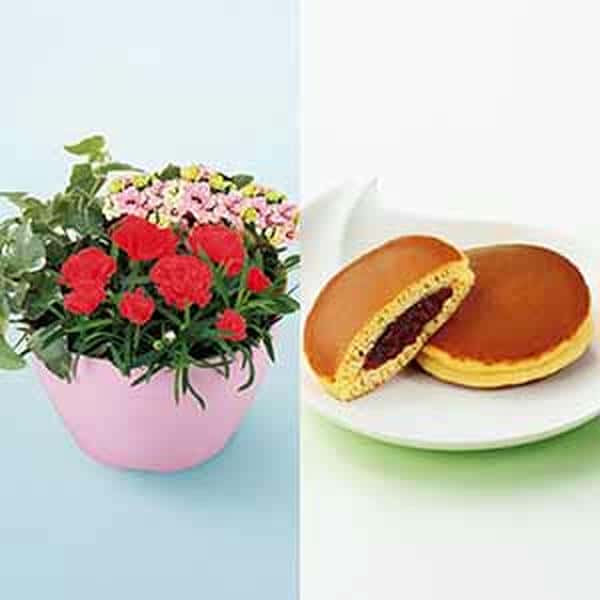 アサミグリーンプランツ カーネーションの寄せ植え(SUSTEE付)＋文明堂 月三笠2個入【母の日】