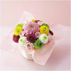 茨木春草園 フラワーアレンジ「マカロンケーキ」【母の日】