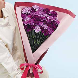 茨木春草園 50本のムーンダストブーケ【母の日】