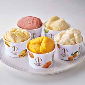 銀座千疋屋 銀座プレミアムソルベ10個【母の日】