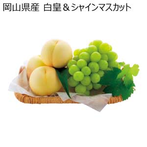 岡山県産 白皇＆シャインマスカット(お届け期間：8/21〜8/31)【夏の贈りもの・お中元】