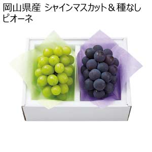岡山県産 シャインマスカット＆種なしピオーネ(お届け期間：8/21〜8/31)【夏の贈りもの・お中元】