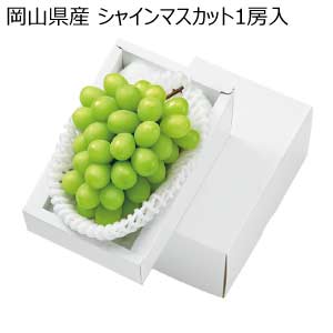 岡山県産 シャインマスカット1房入(お届け期間：8/21〜8/31)【夏の贈りもの・お中元】