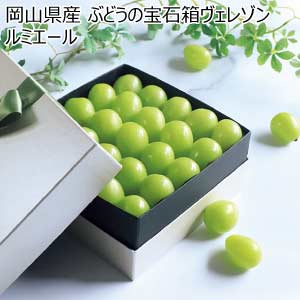 岡山県産 ぶどうの宝石箱ヴェレゾンルミエール(お届け期間：8/21〜8/31)【夏の贈りもの・お中元】