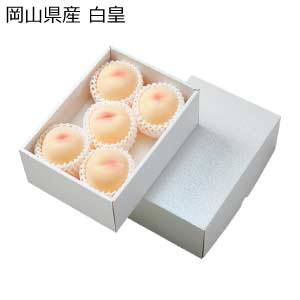 岡山県産 白皇(お届け期間：8/21〜8/31)【夏の贈りもの・お中元】