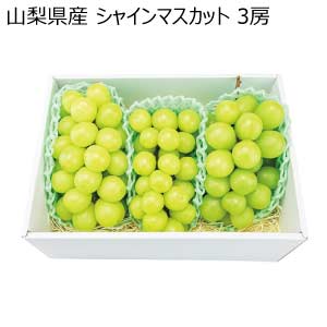 山梨県産 シャインマスカット 3房(お届け期間：8/21〜8/31)【夏の贈りもの・お中元】