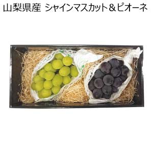 山梨県産 シャインマスカット＆ピオーネ(お届け期間：8/21〜8/31)【夏の贈りもの・お中元】