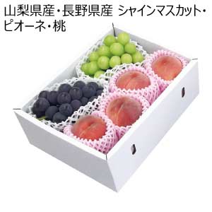 山梨県産・長野県産 シャインマスカット・ピオーネ・桃(お届け期間：8/21〜8/31)【夏の贈りもの・お中元】