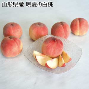 山形県産 晩夏の白桃(お届け期間：8/21〜8/31)【夏の贈りもの・お中元】
