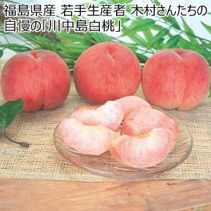 福島県産 若手生産者 木村さんたちの自慢の「川中島白桃」(お届け期間：8/21〜8/31)【夏の贈りもの・お中元】