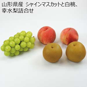 山形県産 シャインマスカットと白桃、幸水梨詰合せ(お届け期間：8/21〜8/31)【夏の贈りもの・お中元】