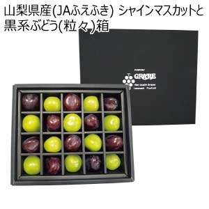 山梨県産(JAふえふき) シャインマスカットと黒系ぶどう(粒々)箱(お届け期間：8/21〜8/31)【夏の贈りもの・お中元】