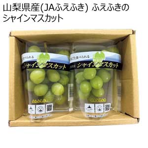 山梨県産(JAふえふき) ふえふきのシャインマスカット(お届け期間：8/21〜8/31)【夏の贈りもの・お中元】