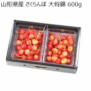 山形県産 さくらんぼ 大将錦 600g【限定100点】【お届け期間：6月20日〜7月5日】【おいしいお取り寄せ】