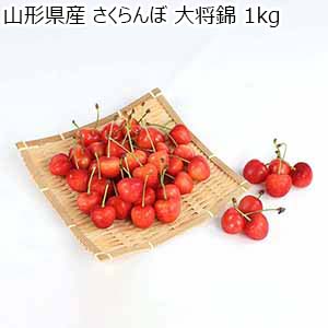 山形県産 さくらんぼ 大将錦 1kg【限定100点】【お届け期間：6月20日〜7月5日】【おいしいお取り寄せ】