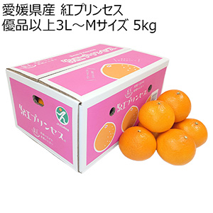 愛媛県産 紅プリンセス 優品以上3L〜Mサイズ 5kg【お届け期間:3月15日〜3月31日】【NN】