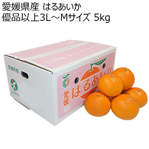 愛媛県産 はるあいか 優品以上3L〜Mサイズ 5kg【お届け期間:3月15日〜3月31日】【NN】