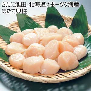 きたに池田 北海道オホーツク海産 ほたて貝柱【夏の贈りもの・お中元】
