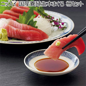 ニッスイ 国産養殖生本まぐろ 柵セット【夏の贈りもの・お中元】