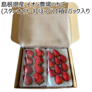 島根県産(イオン島根安来農場) イオン農場いちご(スターナイト・紅ほっぺ) 1箱2パック入り(250g以上×2)【お届け期間:3月20日〜3月31日】【NN】