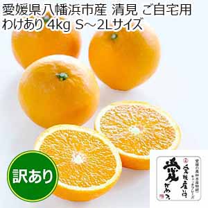 愛媛県八幡浜産 清見 ご自宅用 わけあり 4kg S〜2Lサイズ【限定500点】【お届け期間：4月15日〜4月30日】【イオンゴールドカード会員さま限定特別セール4月】