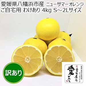 愛媛県八幡浜産 ニューサマーオレンジ ご自宅用 わけあり 4kg S〜2Lサイズ【限定500点】【お届け期間：4月15日〜4月30日】【イオンゴールドカード会員さま限定特別セール4月】