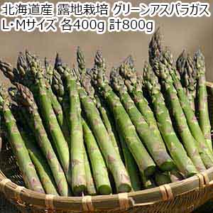 北海道産 露地栽培 グリーンアスパラガス L・Mサイズ 各400g 計800g【お届け期間：5月21日〜6月25日】【Ａセレクション5月】