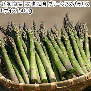 北海道産 露地栽培 グリーンアスパラガス Lサイズ 500g【お届け期間：5月21日〜6月25日】【イオンゴールドカード会員さま限定特別セール4月】