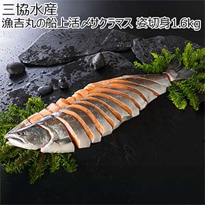三協水産 漁吉丸の船上活〆サクラマス 姿切身1.6kg【おいしいお取り寄せ】