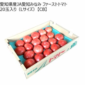 愛知県産JA愛知みなみ ファーストトマト 20玉入り(Lサイズ)【超！春トク祭り】【CB】