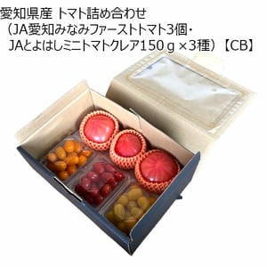 愛知県産 トマト詰め合わせ(JA愛知みなみファーストトマト3個・JAとよはしミニトマトクレア150g×3種)【CB】