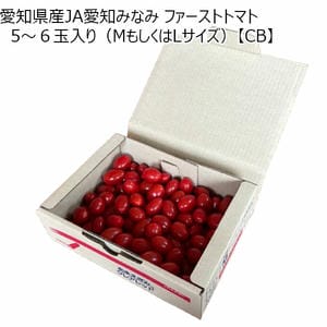 愛知県産JAとよはし ミニトマト クレアレッド 1kg(MもしくはLサイズ)【CB】
