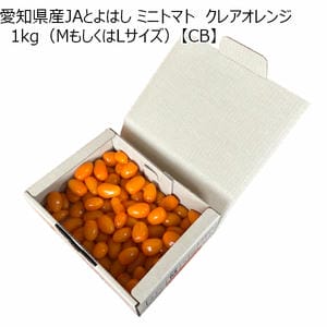 愛知県産JAとよはし ミニトマト クレアオレンジ 1kg(MもしくはLサイズ)【CB】