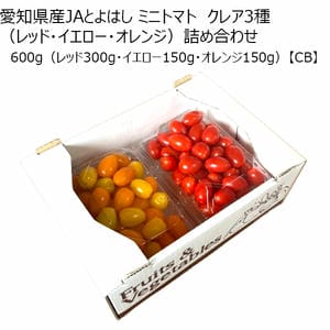 愛知県産JAとよはし ミニトマト クレア3種(レッド・イエロー・オレンジ)詰め合わせ 600g(レッド300g・イエロー150g・オレンジ150g)【CB】