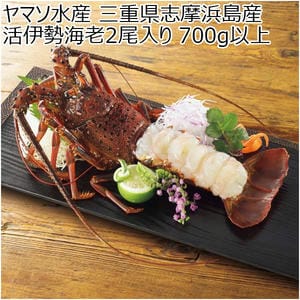 三重 ヤマソ水産 三重県志摩浜島産 活伊勢海老2尾入り 700g以上【CB】