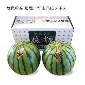 群馬県産 JA太田市 藪塚こだま西瓜 2玉入り【お届け期間:5月27日〜6月29日】【KN】